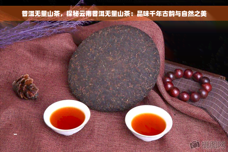 普洱无量山茶，探秘云南普洱无量山茶：品味千年古韵与自然之美