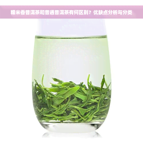 糯米香普洱茶和普通普洱茶有何区别？优缺点分析与分类