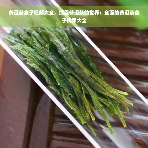 普洱茶盒子视频大全，探索普洱茶的世界：全面的普洱茶盒子视频大全