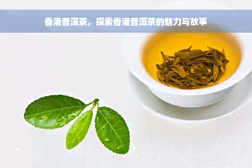 香港普洱茶，探索香港普洱茶的魅力与故事