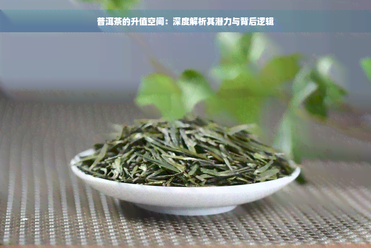 普洱茶的升值空间：深度解析其潜力与背后逻辑