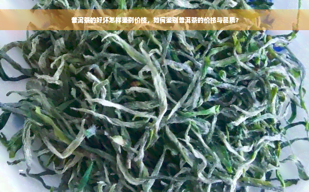 普洱茶的好坏怎样鉴别价格，如何鉴别普洱茶的价格与品质？