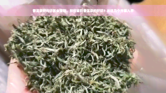 普洱茶好与坏怎么鉴别，如何鉴别普洱茶的好坏？从这几个方面入手