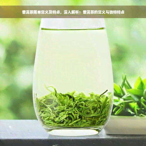 普洱茶简单定义及特点，深入解析：普洱茶的定义与独特特点