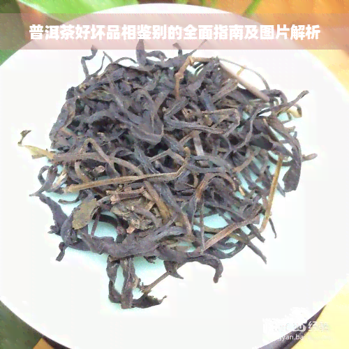 普洱茶好坏品相鉴别的全面指南及图片解析