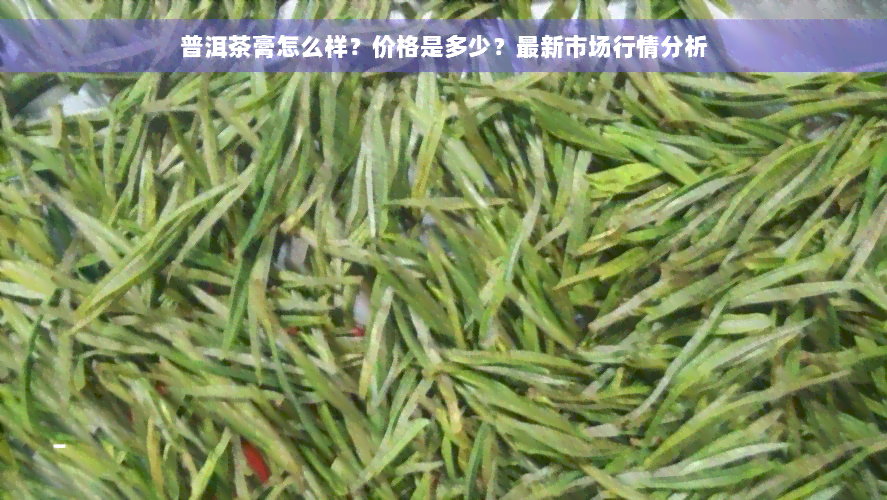 普洱茶膏怎么样？价格是多少？最新市场行情分析