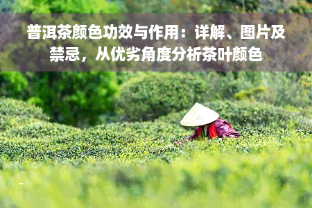 普洱茶颜色功效与作用：详解、图片及禁忌，从优劣角度分析茶叶颜色