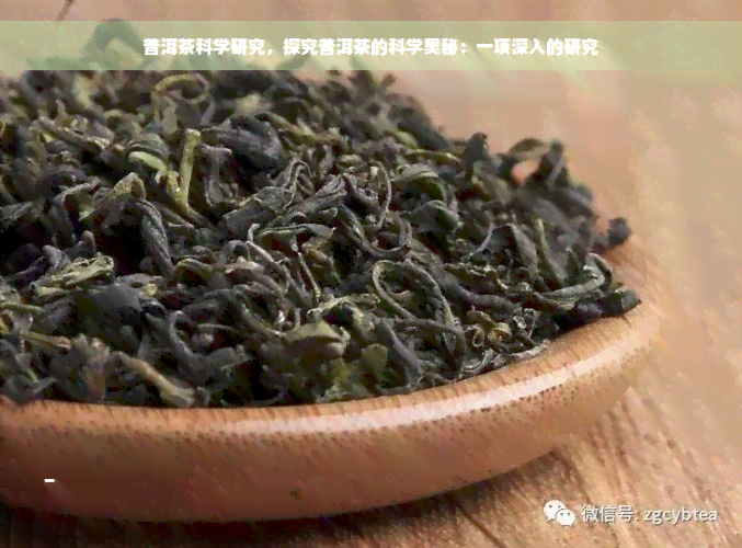 普洱茶科学研究，探究普洱茶的科学奥秘：一项深入的研究