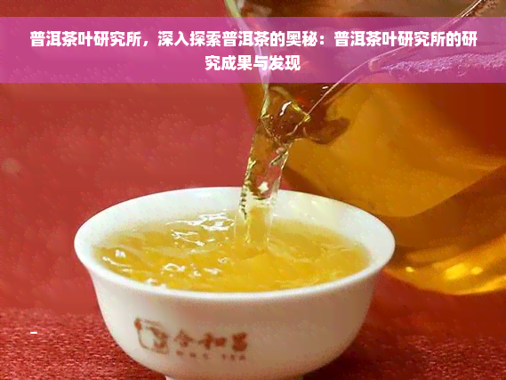 普洱茶叶研究所，深入探索普洱茶的奥秘：普洱茶叶研究所的研究成果与发现