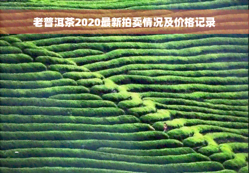 老普洱茶2020最新拍卖情况及价格记录