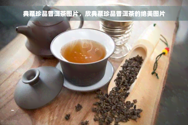 典藏珍品普洱茶图片，欣典藏珍品普洱茶的绝美图片