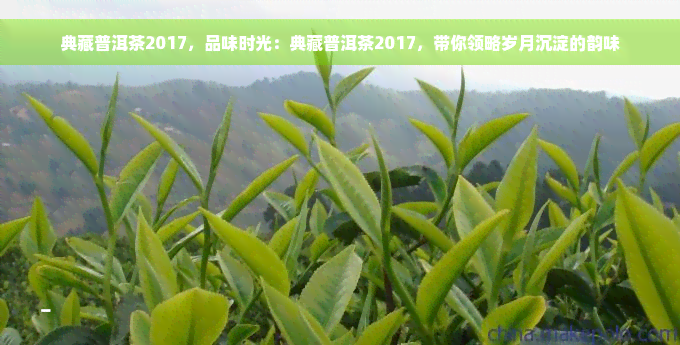 典藏普洱茶2017，品味时光：典藏普洱茶2017，带你领略岁月沉淀的韵味