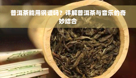 普洱茶能用钢谱吗？详解普洱茶与音乐的奇妙结合