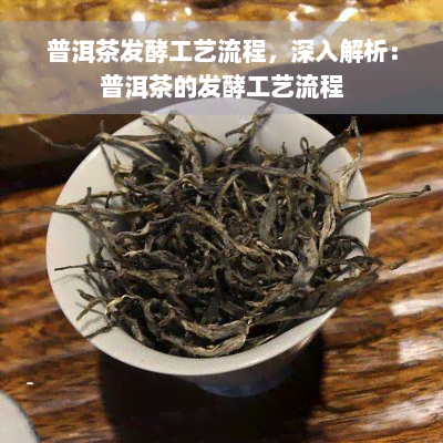 普洱茶发酵工艺流程，深入解析：普洱茶的发酵工艺流程