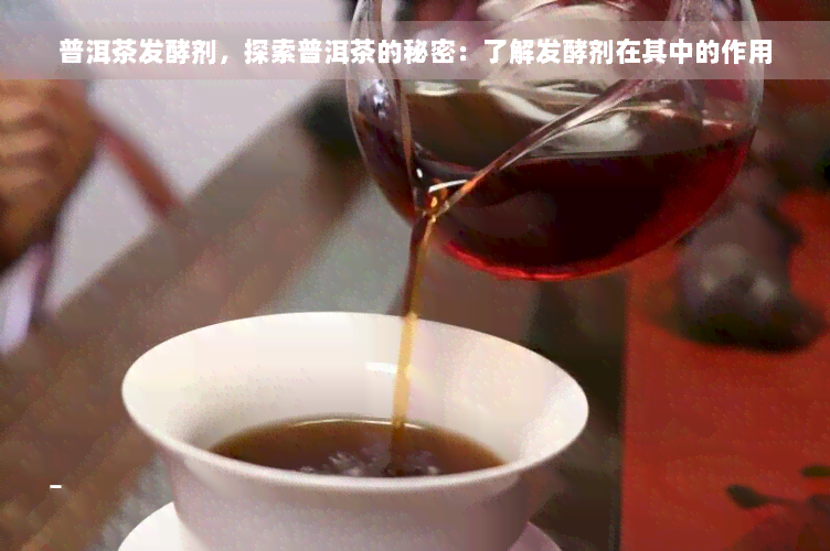 普洱茶发酵剂，探索普洱茶的秘密：了解发酵剂在其中的作用