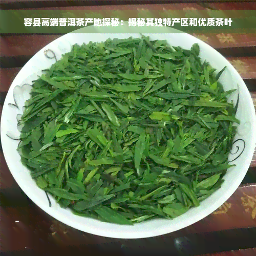 容县高端普洱茶产地探秘：揭秘其独特产区和优质茶叶