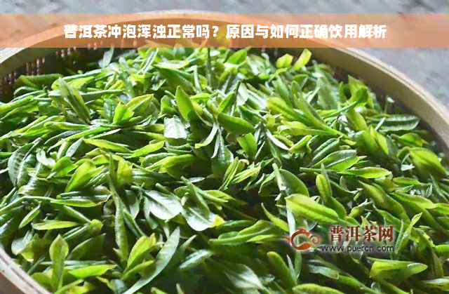 普洱茶冲泡浑浊正常吗？原因与如何正确饮用解析