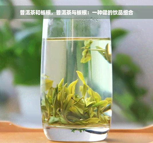 普洱茶和板根，普洱茶与板根：一种健的饮品组合