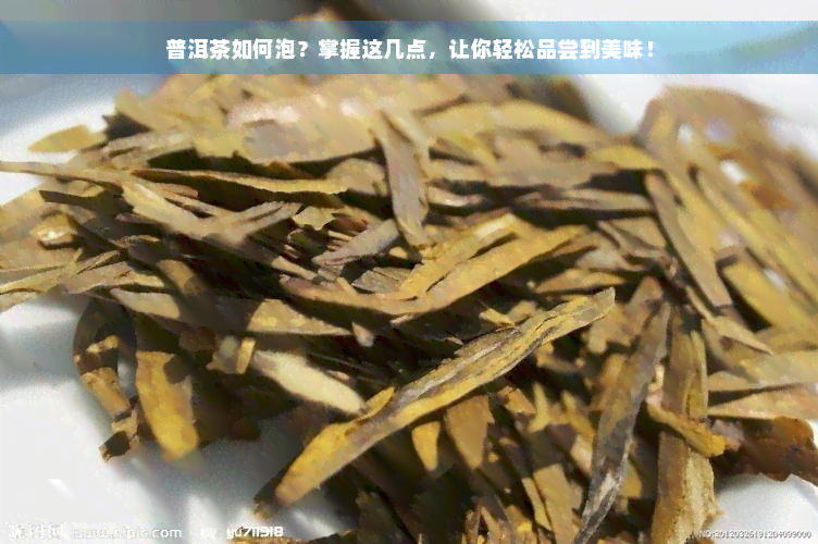 普洱茶如何泡？掌握这几点，让你轻松品尝到美味！