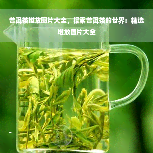 普洱茶堆放图片大全，探索普洱茶的世界：精选堆放图片大全