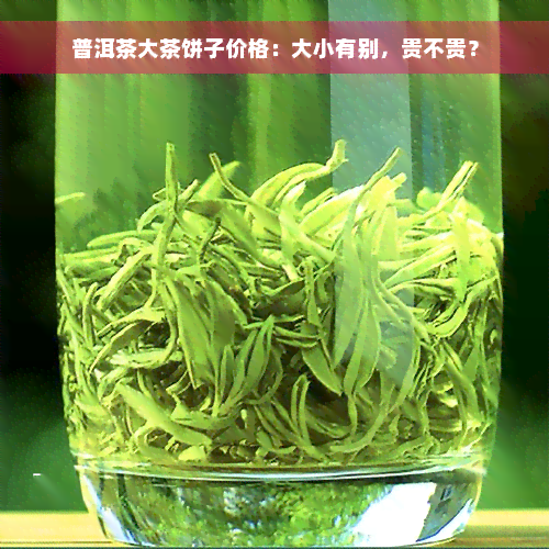 普洱茶大茶饼子价格：大小有别，贵不贵？