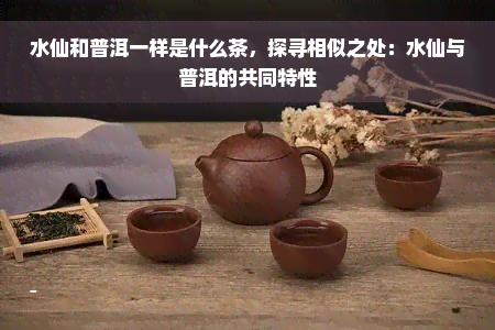 水仙和普洱一样是什么茶，探寻相似之处：水仙与普洱的共同特性