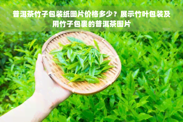 普洱茶竹子包装纸图片价格多少？展示竹叶包装及用竹子包裹的普洱茶图片