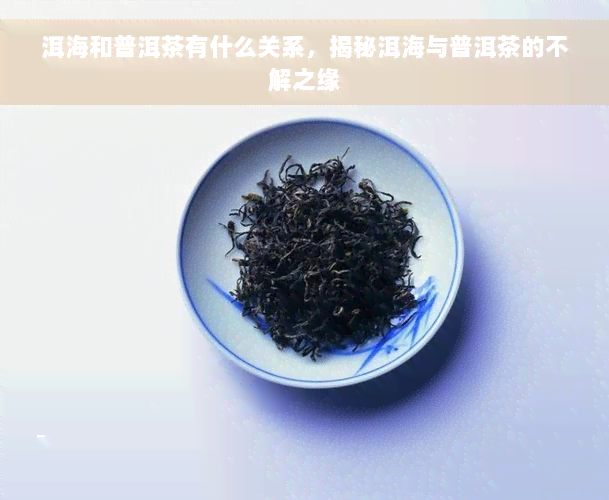 洱海和普洱茶有什么关系，揭秘洱海与普洱茶的不解之缘