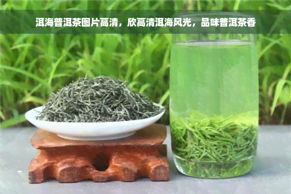 洱海普洱茶图片高清，欣高清洱海风光，品味普洱茶香