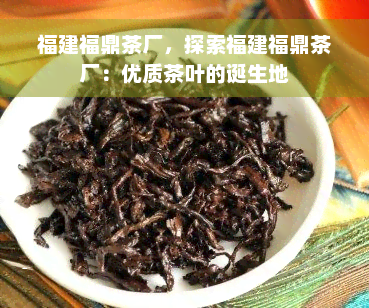 福建福鼎茶厂，探索福建福鼎茶厂：优质茶叶的诞生地