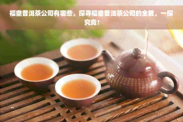 福鼎普洱茶公司有哪些，探寻福鼎普洱茶公司的全貌，一探究竟！