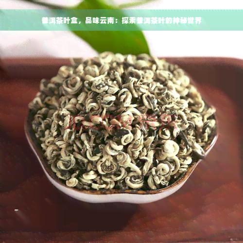 普洱茶叶盒，品味云南：探索普洱茶叶的神秘世界