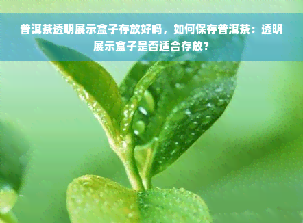 普洱茶透明展示盒子存放好吗，如何保存普洱茶：透明展示盒子是否适合存放？