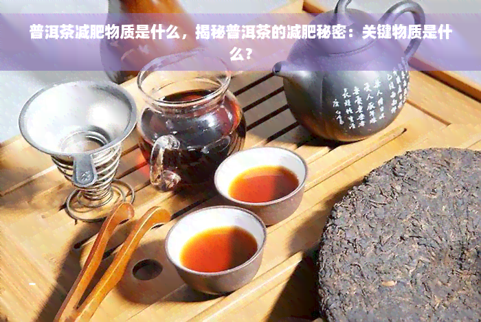 普洱茶减肥物质是什么，揭秘普洱茶的减肥秘密：关键物质是什么？