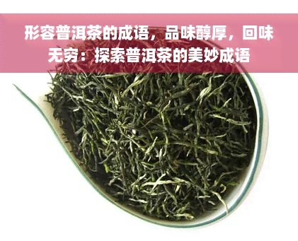 形容普洱茶的成语，品味醇厚，回味无穷：探索普洱茶的美妙成语