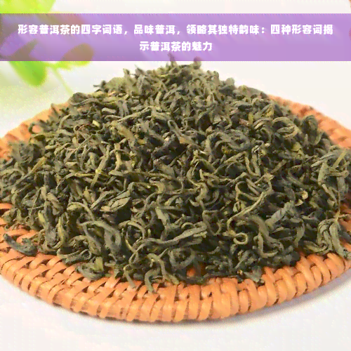 形容普洱茶的四字词语，品味普洱，领略其独特韵味：四种形容词揭示普洱茶的魅力