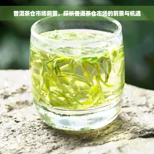 普洱茶仓市场前景，探析普洱茶仓市场的前景与机遇