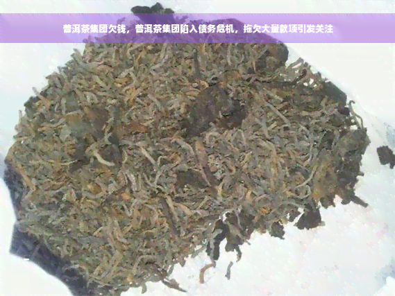 普洱茶集团欠钱，普洱茶集团陷入债务危机，拖欠大量款项引发关注