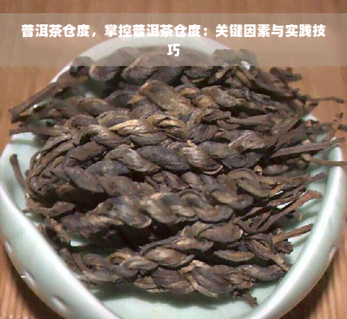 普洱茶仓度，掌控普洱茶仓度：关键因素与实践技巧