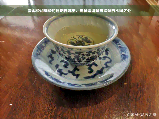 普洱茶和绿茶的区别在哪里，揭秘普洱茶与绿茶的不同之处