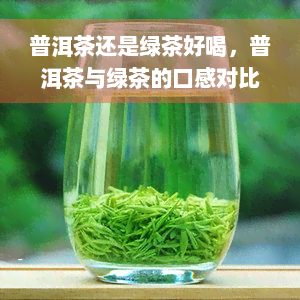 普洱茶还是绿茶好喝，普洱茶与绿茶的口感对比，哪一种更胜一筹？