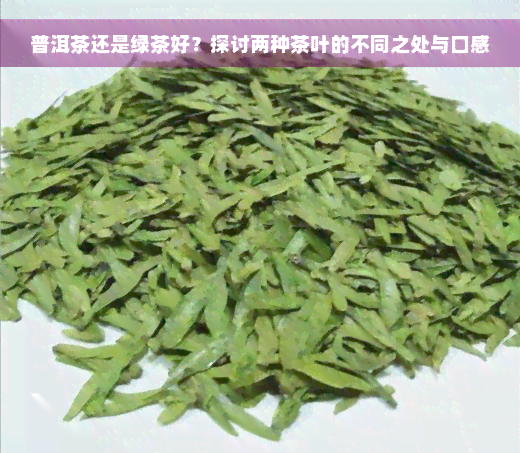 普洱茶还是绿茶好？探讨两种茶叶的不同之处与口感