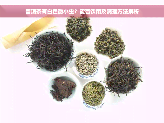 普洱茶有白色微小虫？能否饮用及清理方法解析