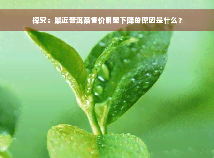 探究：最近普洱茶售价明显下降的原因是什么？