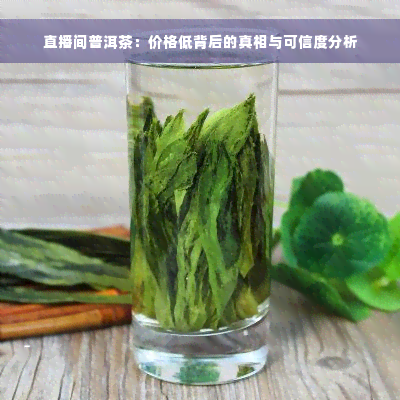 直播间普洱茶：价格低背后的真相与可信度分析