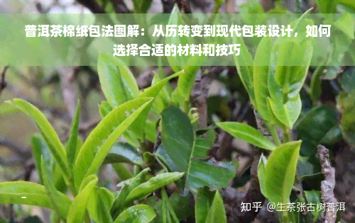 普洱茶棉纸包法图解：从历转变到现代包装设计，如何选择合适的材料和技巧