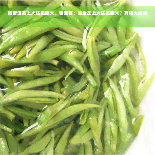 喝普洱茶上火还是降火，普洱茶：喝后是上火还是降火？真相大揭秘！