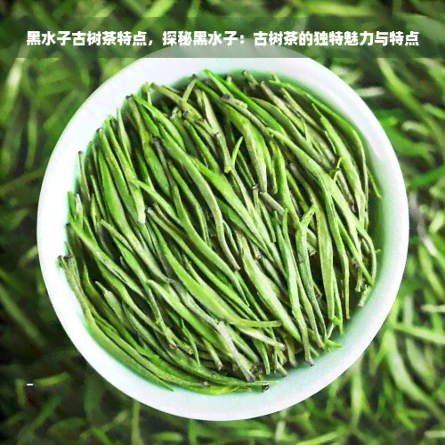 黑水子古树茶特点，探秘黑水子：古树茶的独特魅力与特点