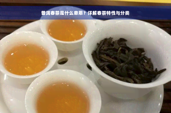 普洱春茶是什么意思？详解春茶特性与分类