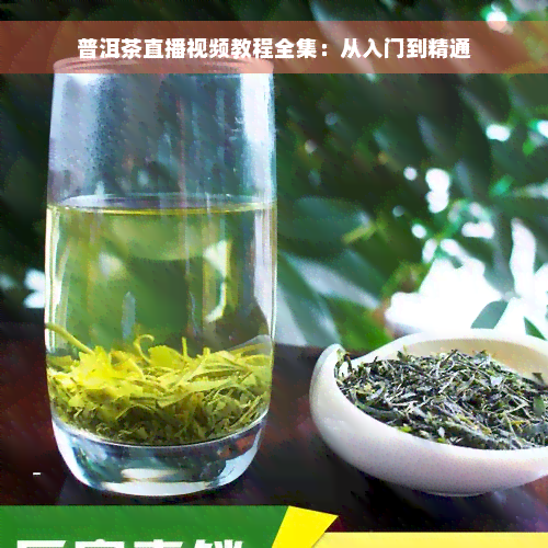 普洱茶直播视频教程全集：从入门到精通